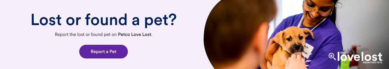 Lost or found a pet? Report the lost or found pet on Petco Love Lost.