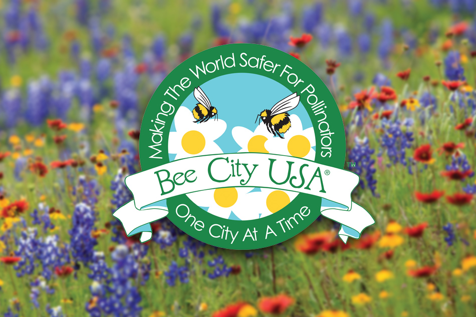 Banner_Arlington_Bee_City_USA_01.jpg