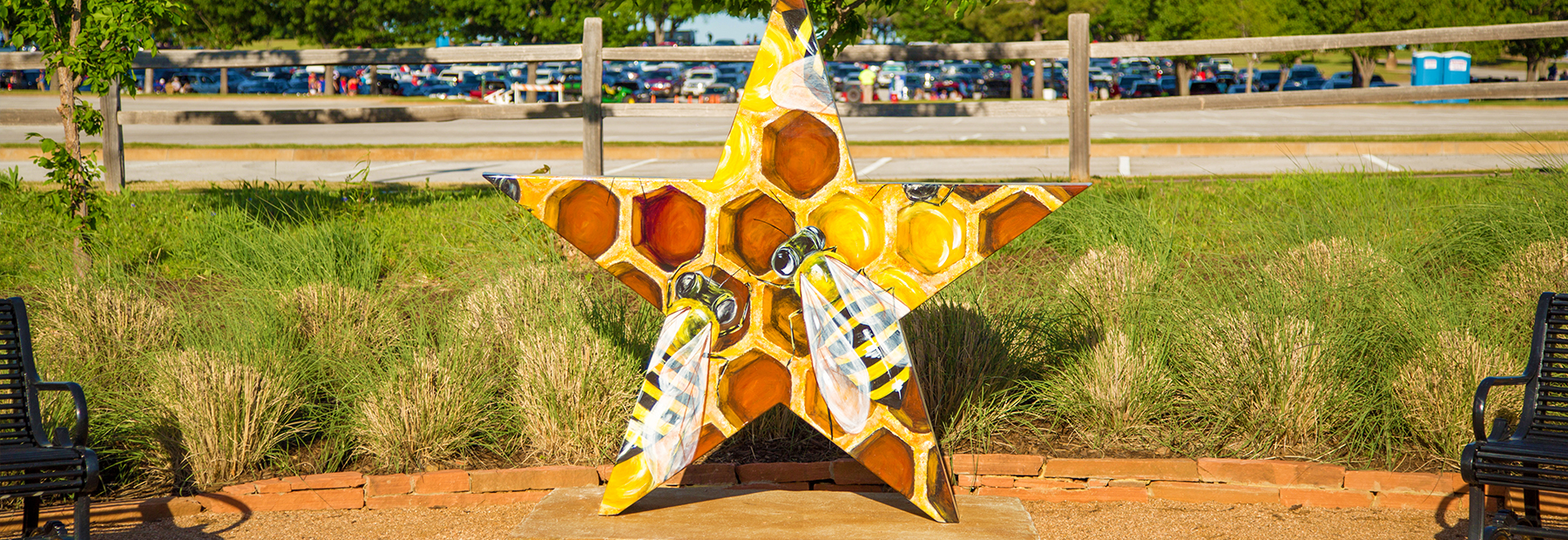 Bee Active Star of Texas