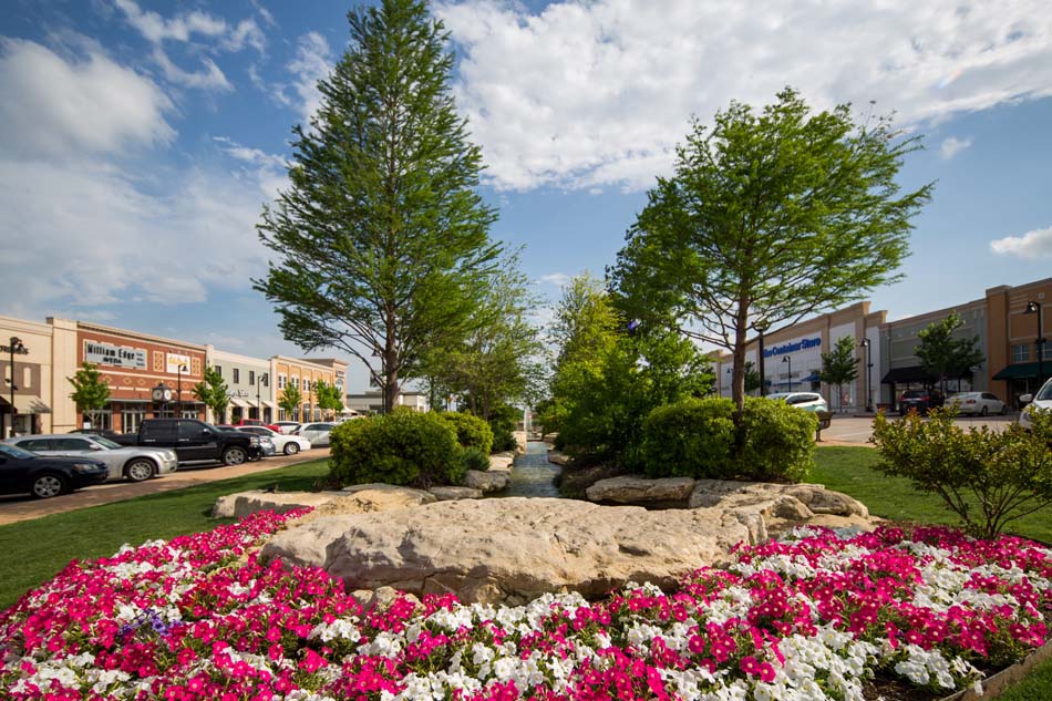 Image of a location in the Arlington Highlands with beautiful flowers (pinkish red and white) in the foreground.