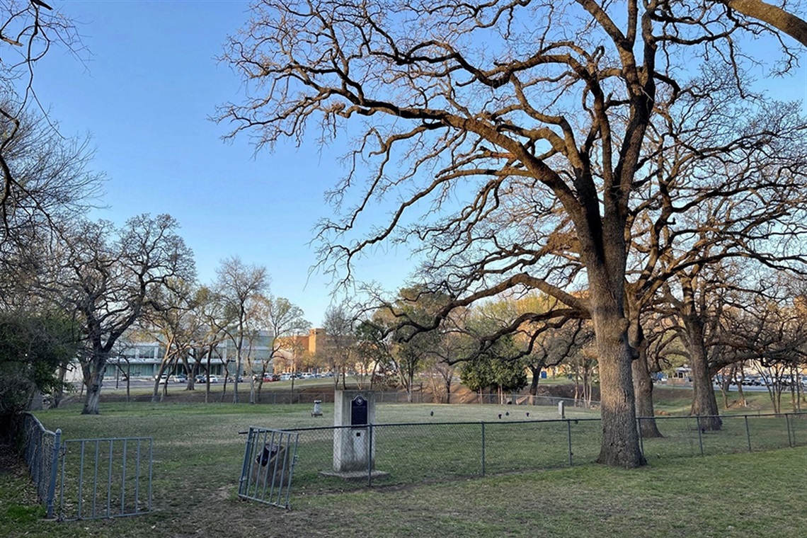 Photo of tombstones in cemetery. 