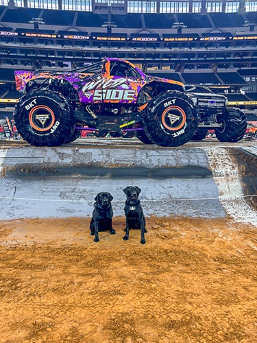 K-9s Posed in Front of a Monster Truck