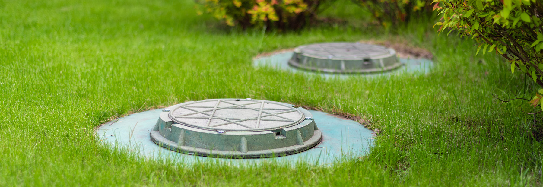 cesspool on the backyard green lawn.