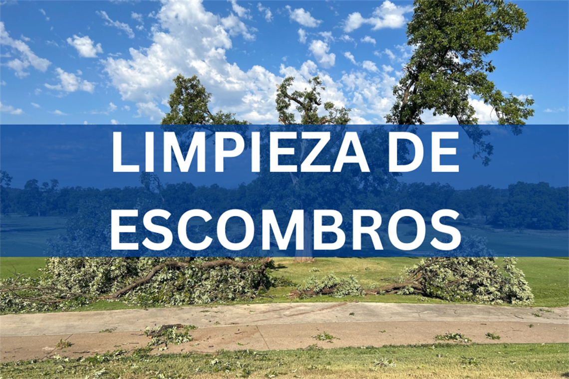 Limpieza de Escombros