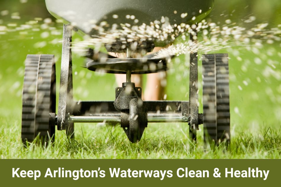 A person pushes a rolling fertilizer spreader across a green lawn