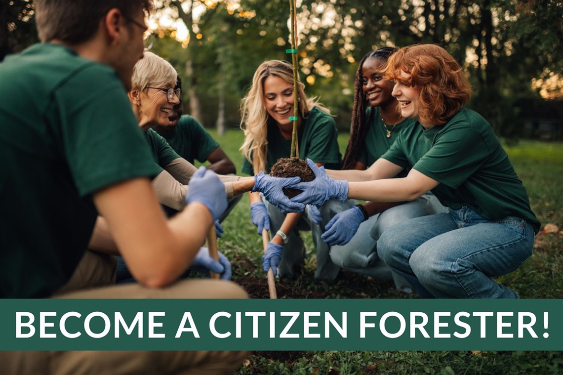 Group of people smiling while planting a small tree with text 