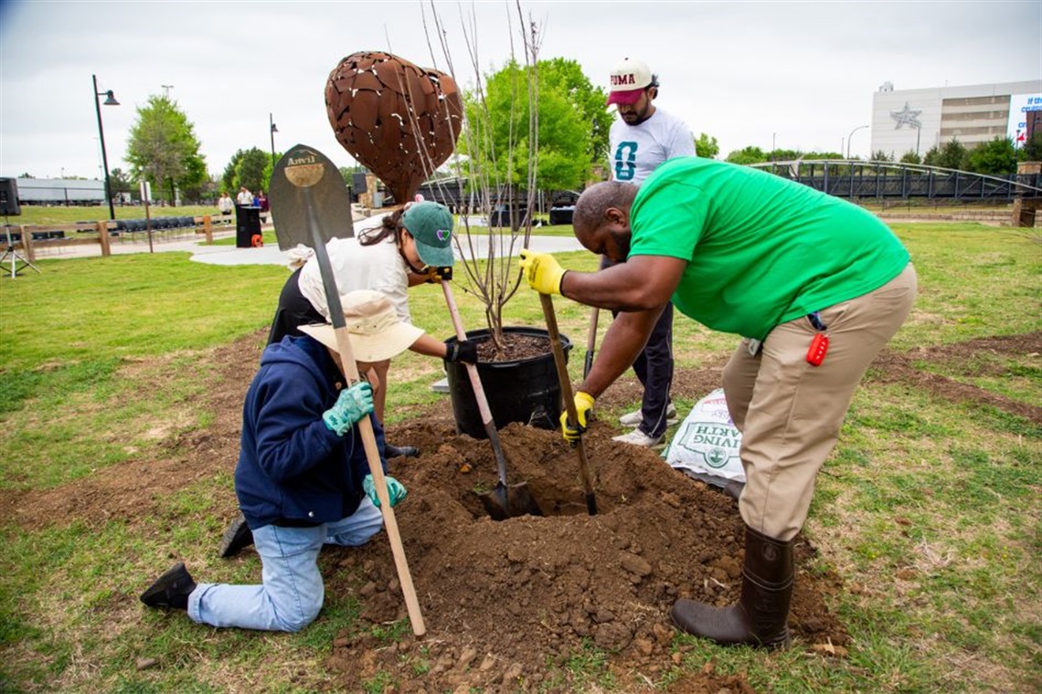 Articles-FIFA-World-Cup-Tree-Planting-Arlington-2026-03-27.jpg