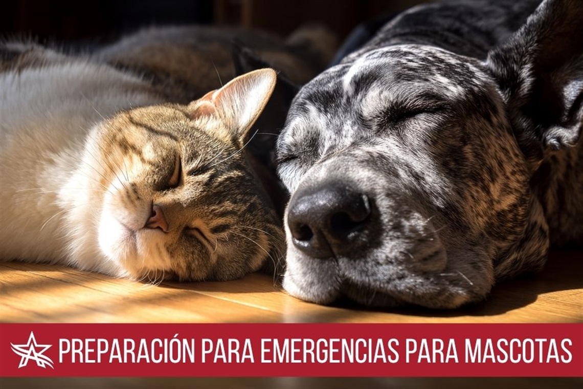 Emergency Preparedness for Your Pets graphic