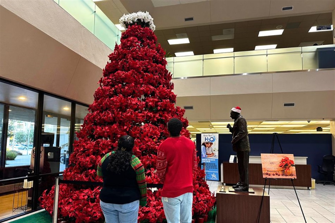 Vandergriff Poinsettia Tree in Arlington City Hall