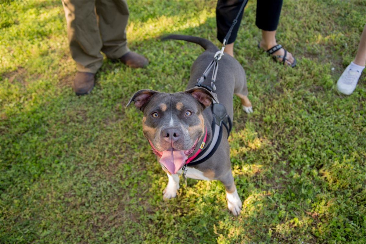 Rush Creek Dog Park — Arlington, TX