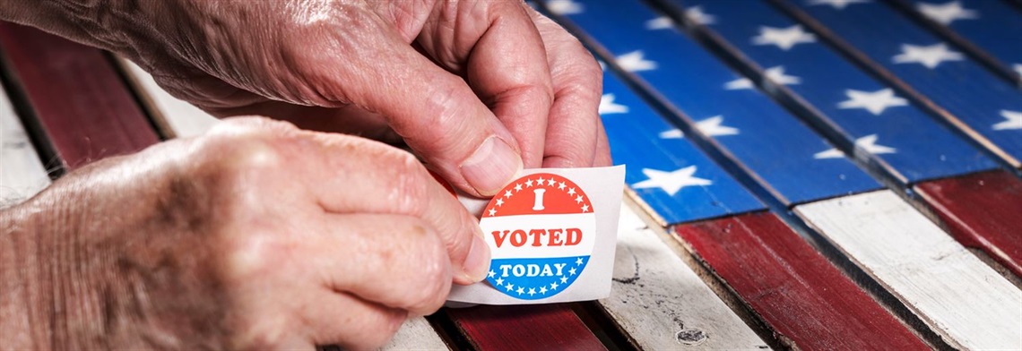 Voter