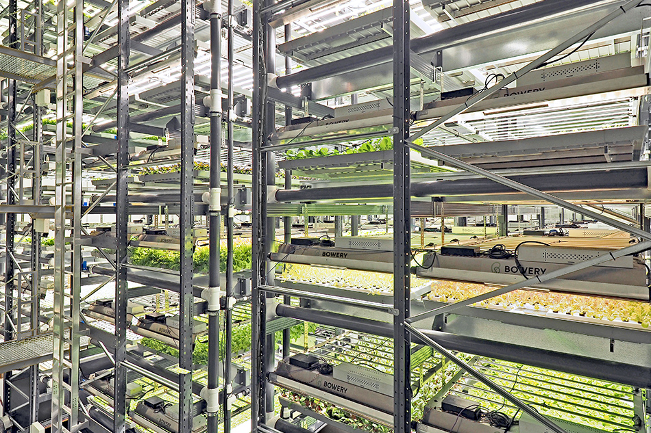 Articles_Bowery_Farming_02-15-2022-01.jpg
