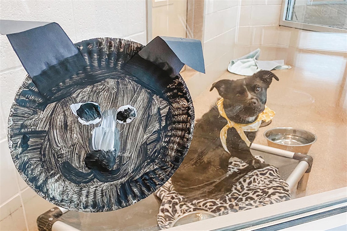 Craft for Your Shelter Day artwork next to a dog