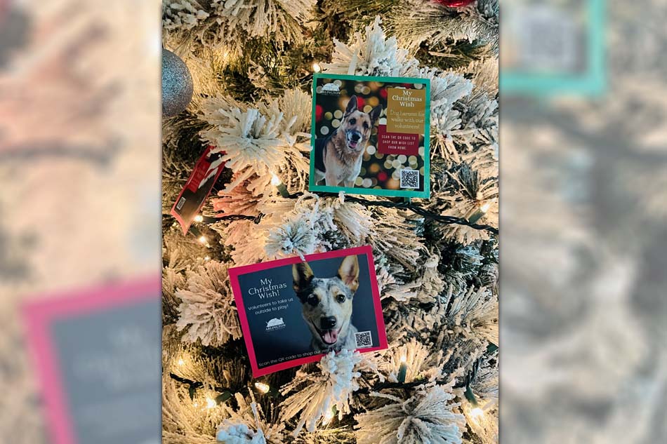 Christmas Tree with photos of dog ornaments