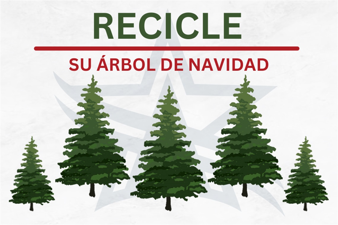Christmas Trees on grey background with the text Recycle Christmas Trees in Spanish