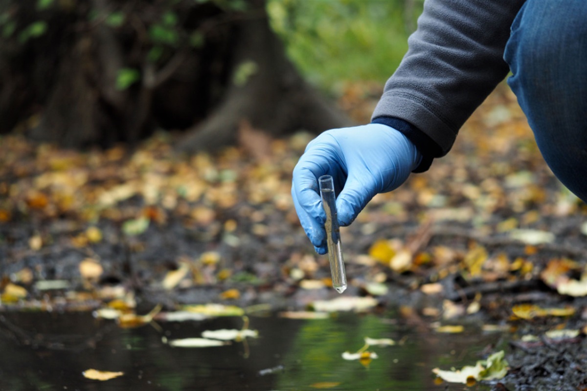 Texas Sampling Texas Stream Team Water Quality Sampling Workshop is Feb. 10, 2024 ...