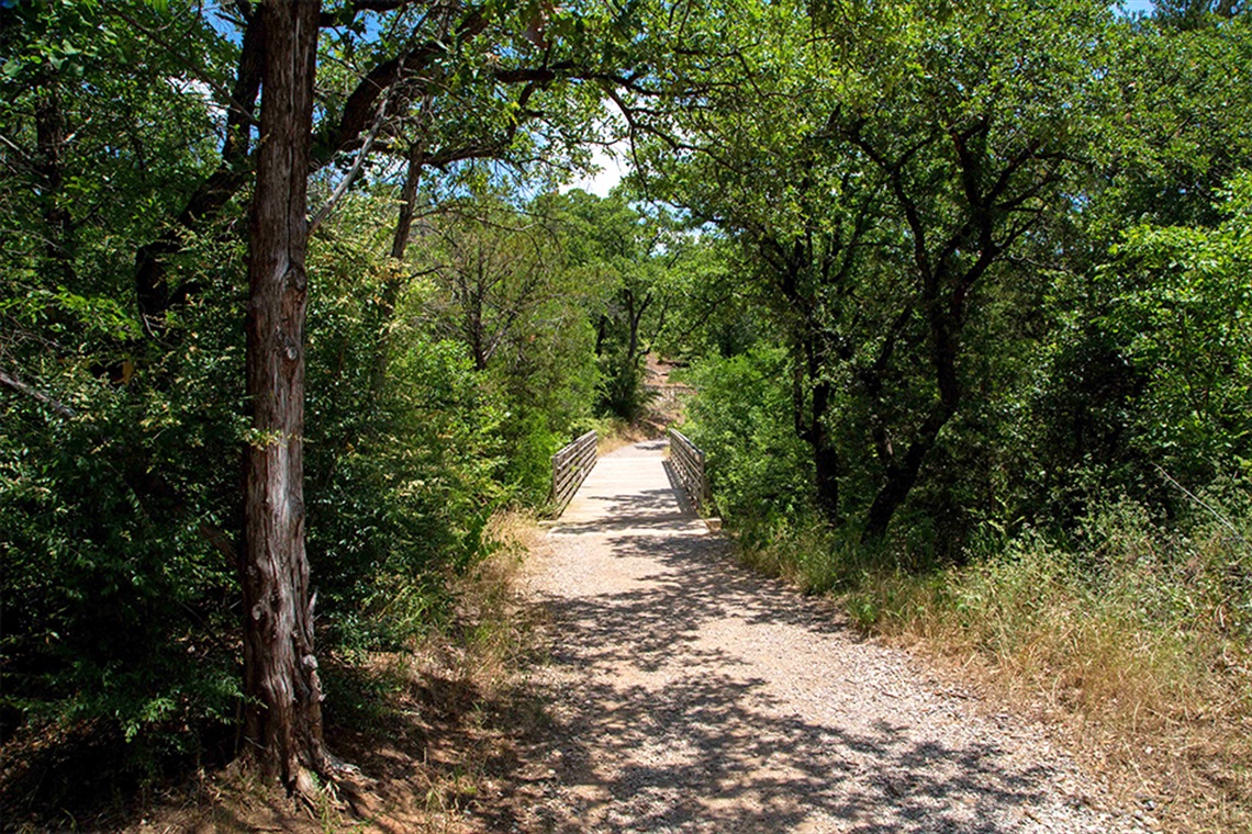 Bridge surrounded by green trees at Crystal Canyon Natural Area