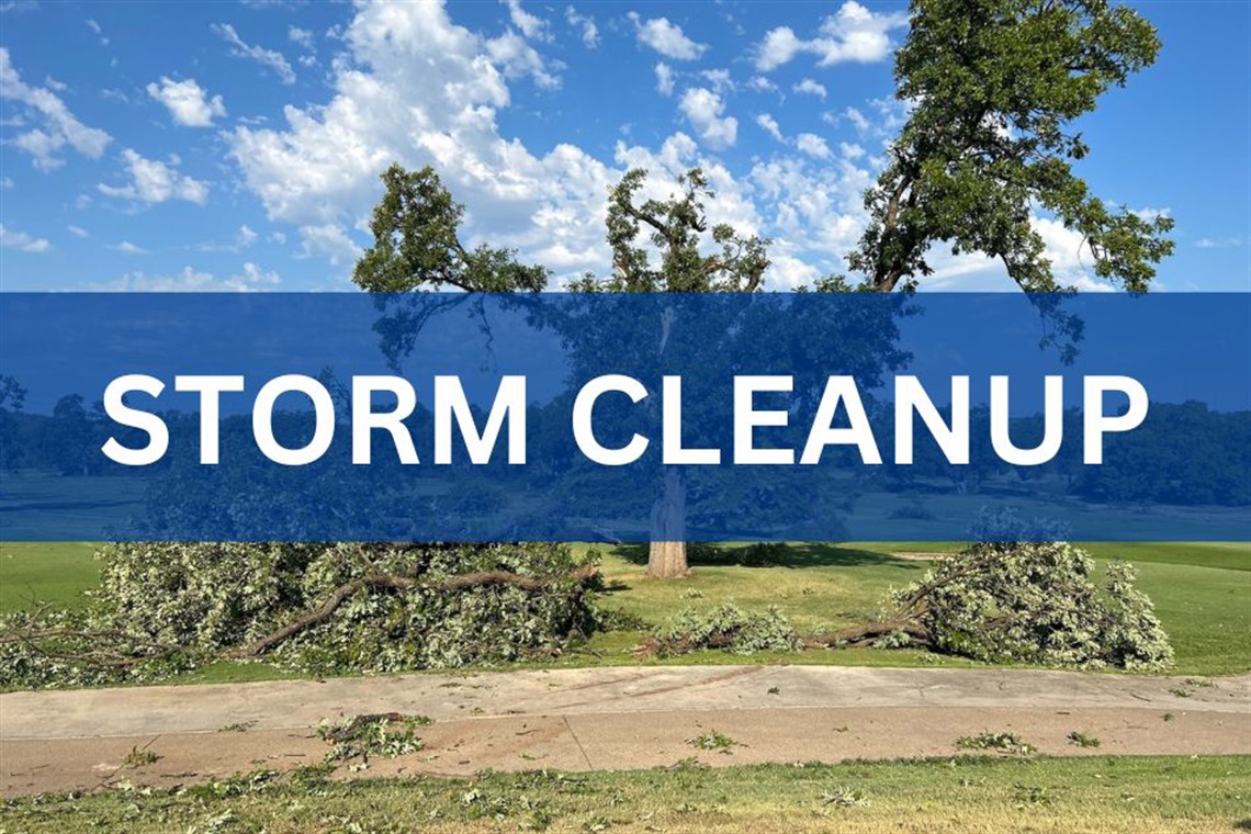 Storm Cleanup