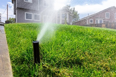 A sprinkler head spraying water on a green lawn in front of a two-story home.