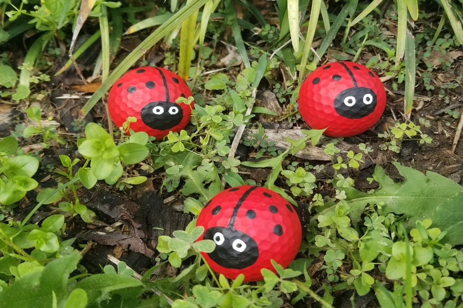 three upcycled golf balls painted as ladybugs