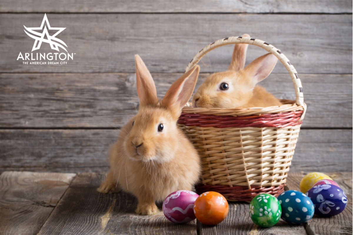 Easter Scavenger Hunt City of Arlington TX